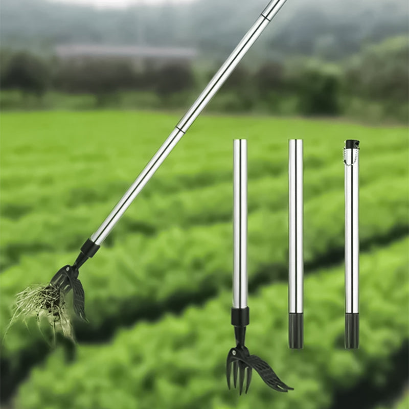 Extracteur de mauvaises herbes