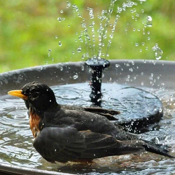 Fontaine pour Oiseaux avec Panneau Solaire