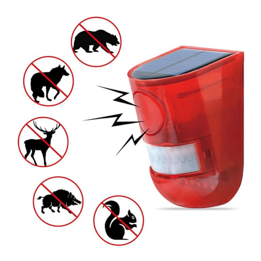Alarme Solar de Capteur