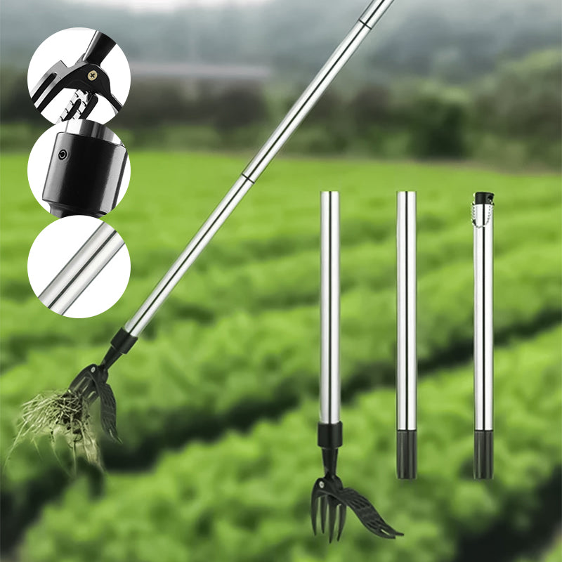Extracteur de mauvaises herbes