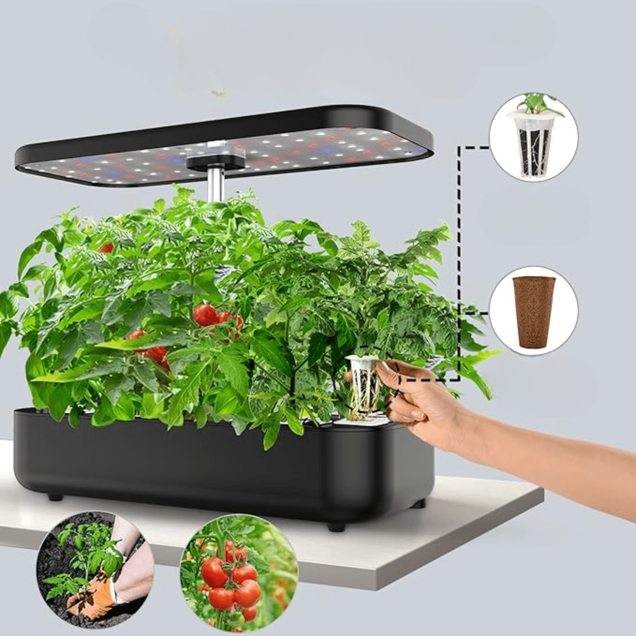 Potager d'Intérieur à Culture Hydroponique Innovant