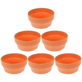 Pots de Fleurs en Terre Cuite Écologiques (4 + 2 Offerts)