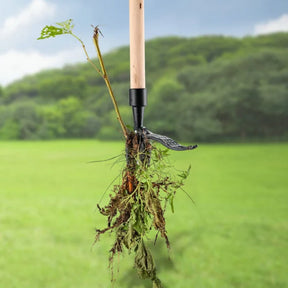 Extracteur de mauvaises herbes