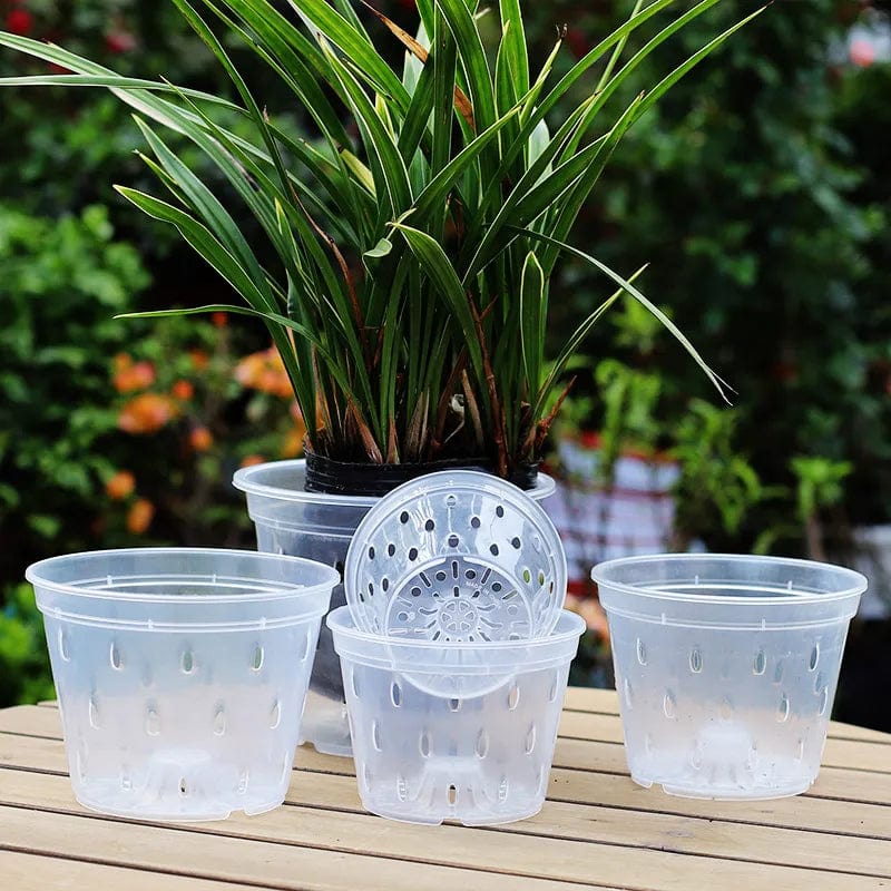 Pots de Culture Transparents Aérés Premium