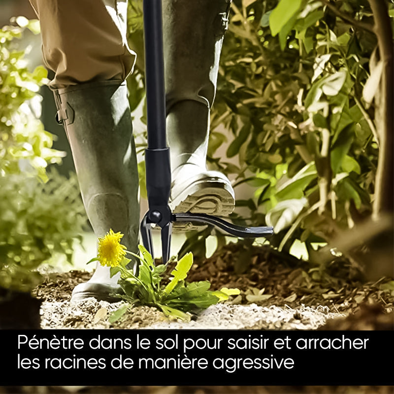 Extracteur de mauvaises herbes