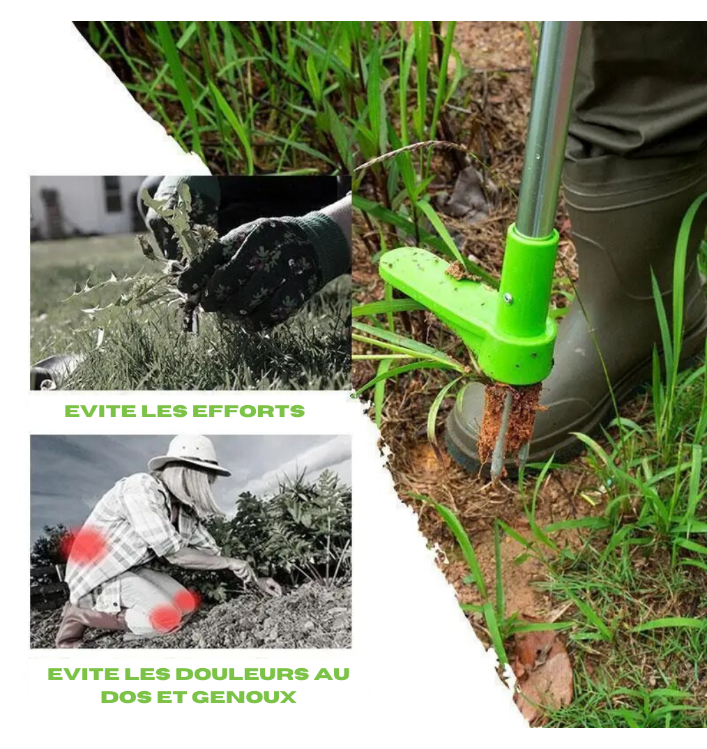 Extracteur de mauvaises herbes