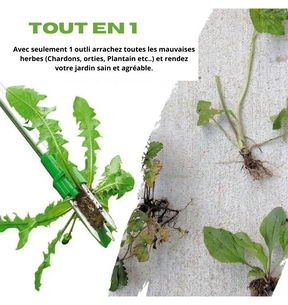Extracteur de mauvaises herbes