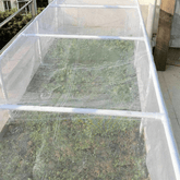 Filet anti-insectes Ultra-Protecteur