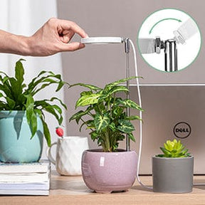 Lampe de croissance LED (+1 Offert)