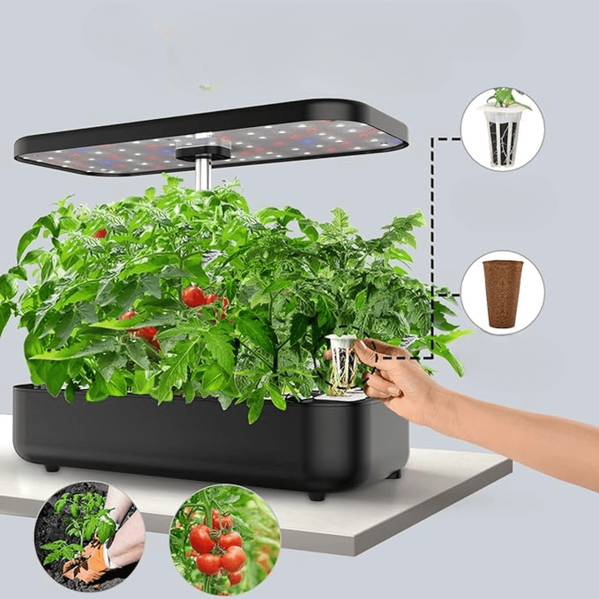 Potager d'Intérieur à Culture Hydroponique Innovant