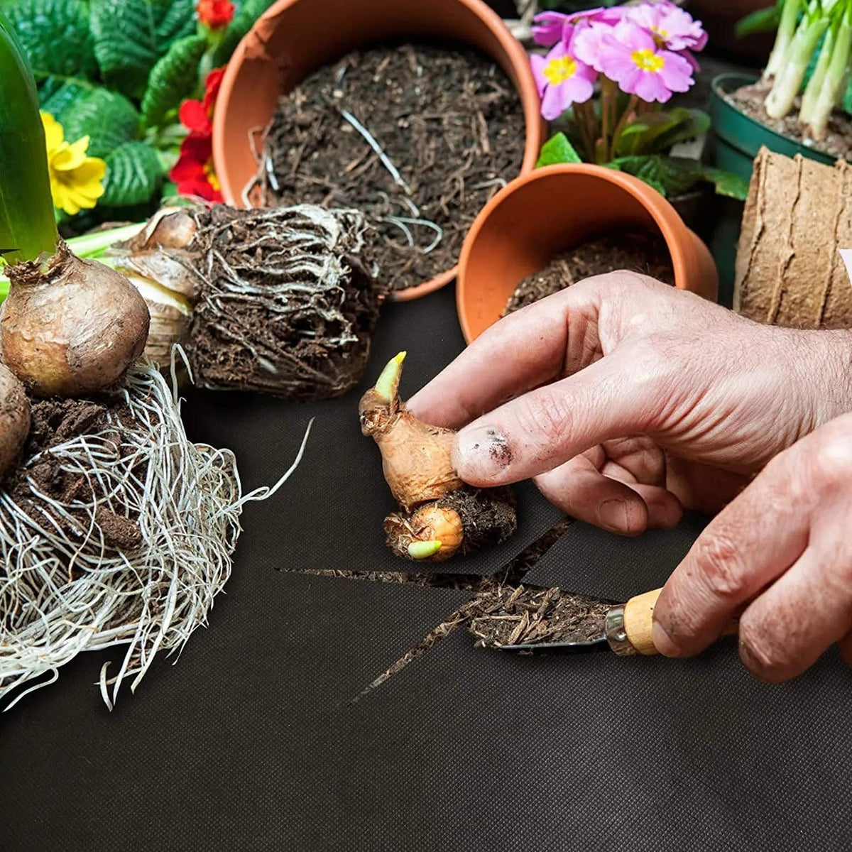 Tissu de Paillage Éco-responsable Ultra-résistant