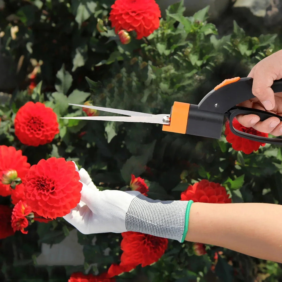 Cisailles de Précision de Jardin Rotatives à 360°